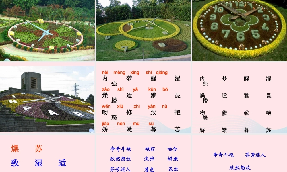 三年级语文上册 第四组 13《花钟》课堂教学课件2 新人教版-新人教版小学三年级上册语文课件