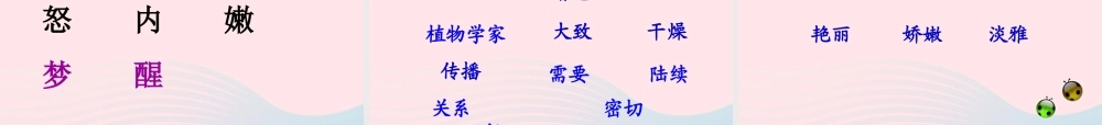 三年级语文上册 第四组 13《花钟》课堂教学课件2 新人教版-新人教版小学三年级上册语文课件
