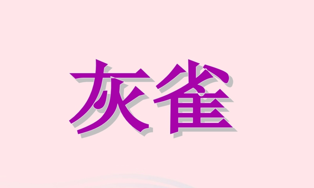 三年级语文上册 第二单元 5《灰雀》配套课件 鲁教版-鲁教版小学三年级上册语文课件