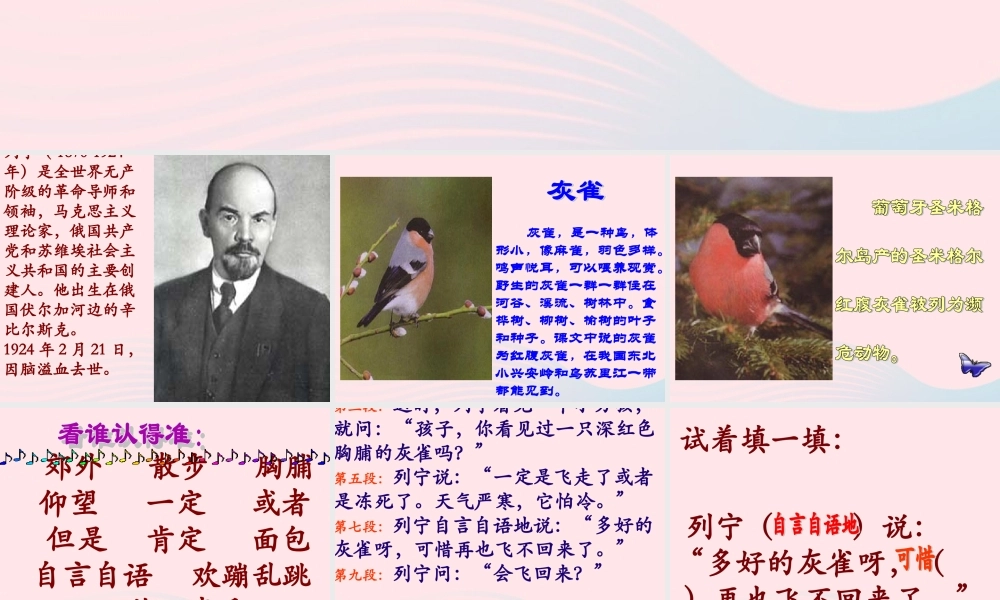 三年级语文上册 第二单元 5《灰雀》配套课件 鲁教版-鲁教版小学三年级上册语文课件