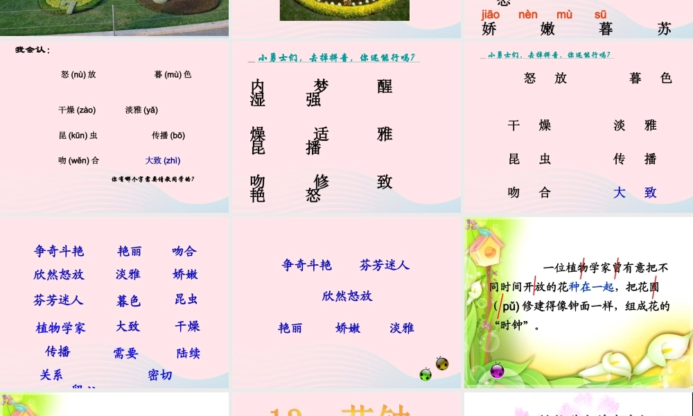 三年级语文上册 第四组 13《花钟》课堂教学课件4 新人教版-新人教版小学三年级上册语文课件