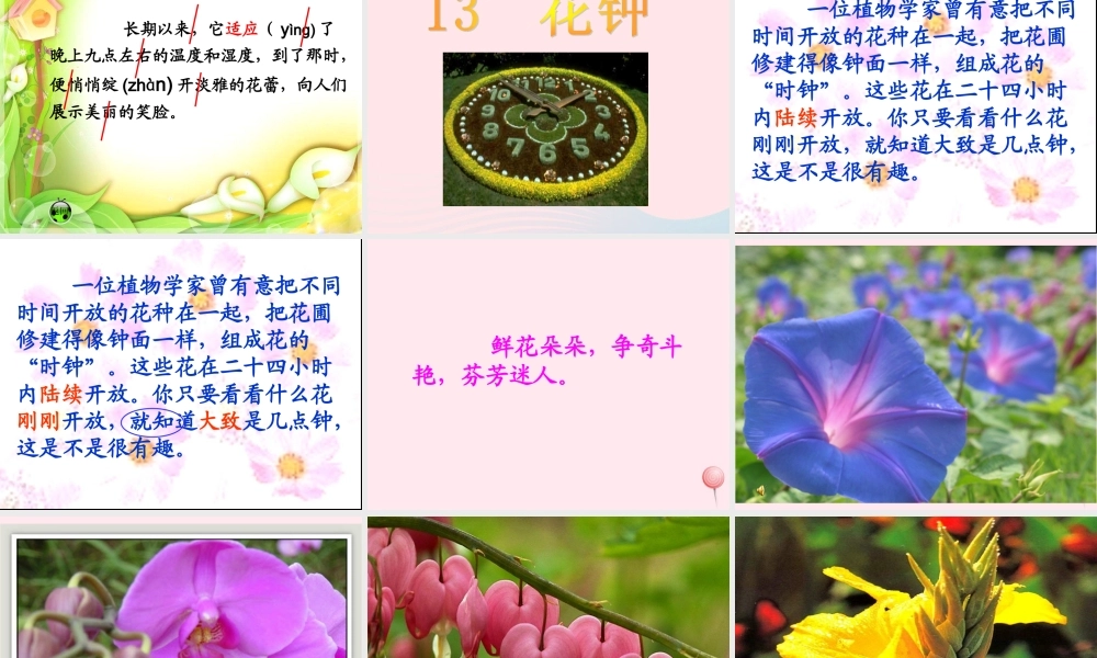 三年级语文上册 第四组 13《花钟》课堂教学课件4 新人教版-新人教版小学三年级上册语文课件