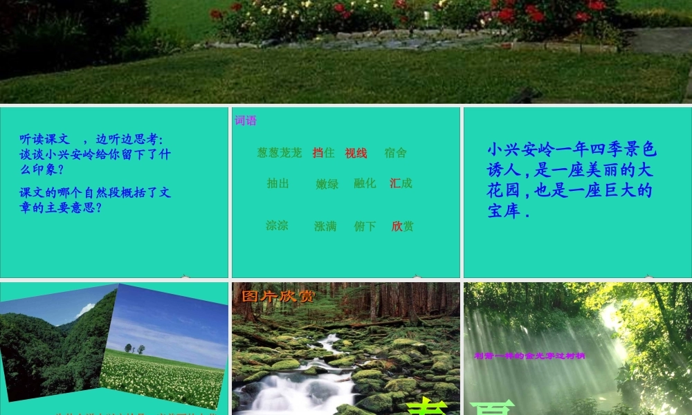 三年级语文上册 第六组 23 美丽的小兴安岭课件1 新人教版-新人教版小学三年级上册语文课件