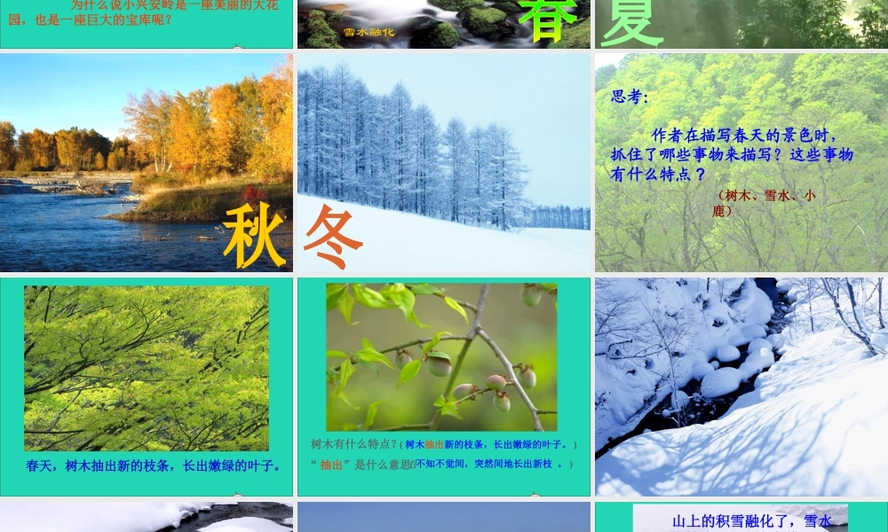 三年级语文上册 第六组 23 美丽的小兴安岭课件1 新人教版-新人教版小学三年级上册语文课件