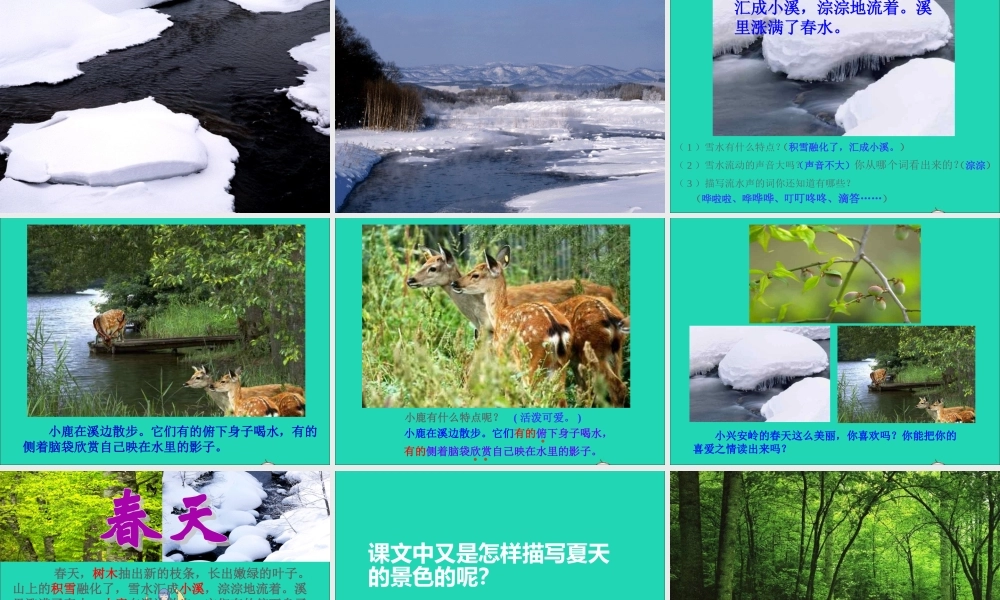 三年级语文上册 第六组 23 美丽的小兴安岭课件1 新人教版-新人教版小学三年级上册语文课件