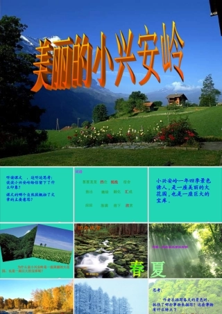 三年级语文上册 第六组 23 美丽的小兴安岭课件1 新人教版-新人教版小学三年级上册语文课件