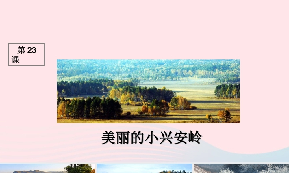 三年级语文上册 第六组 23《美丽的小兴安岭》课堂教学课件1 新人教版-新人教版小学三年级上册语文课件
