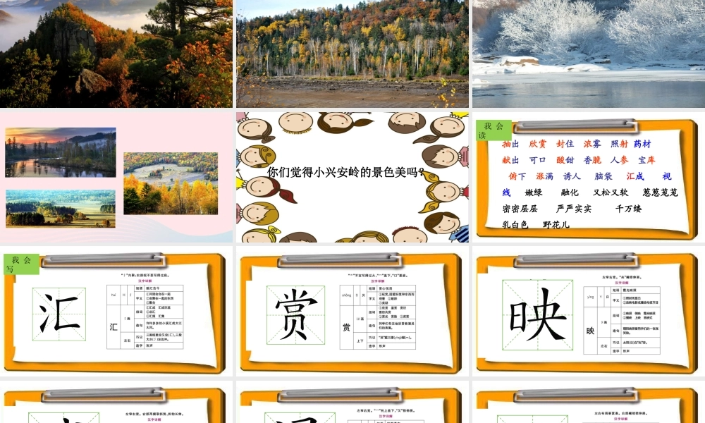 三年级语文上册 第六组 23《美丽的小兴安岭》课堂教学课件1 新人教版-新人教版小学三年级上册语文课件