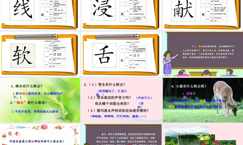 三年级语文上册 第六组 23《美丽的小兴安岭》课堂教学课件1 新人教版-新人教版小学三年级上册语文课件