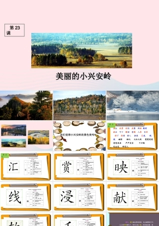 三年级语文上册 第六组 23《美丽的小兴安岭》课堂教学课件1 新人教版-新人教版小学三年级上册语文课件