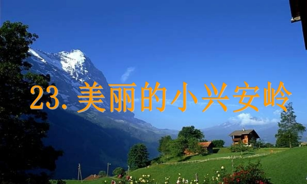 三年级语文上册 第六组 23《美丽的小兴安岭》课堂教学课件2 新人教版-新人教版小学三年级上册语文课件