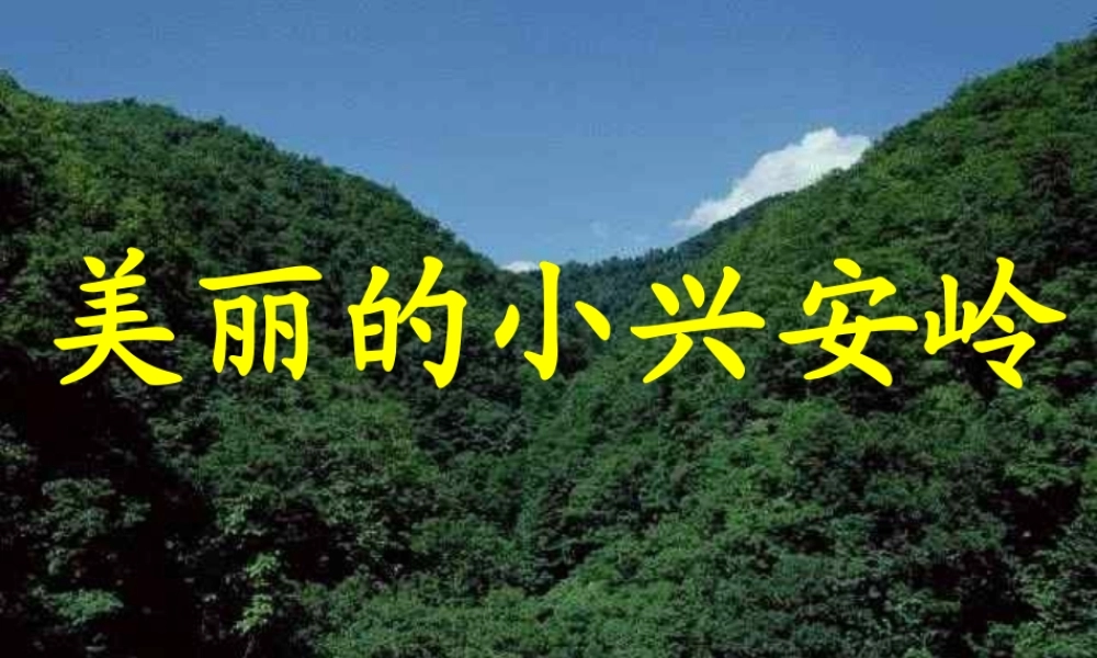 三年级语文上册 第六组 23《美丽的小兴安岭》课堂教学课件3 新人教版-新人教版小学三年级上册语文课件