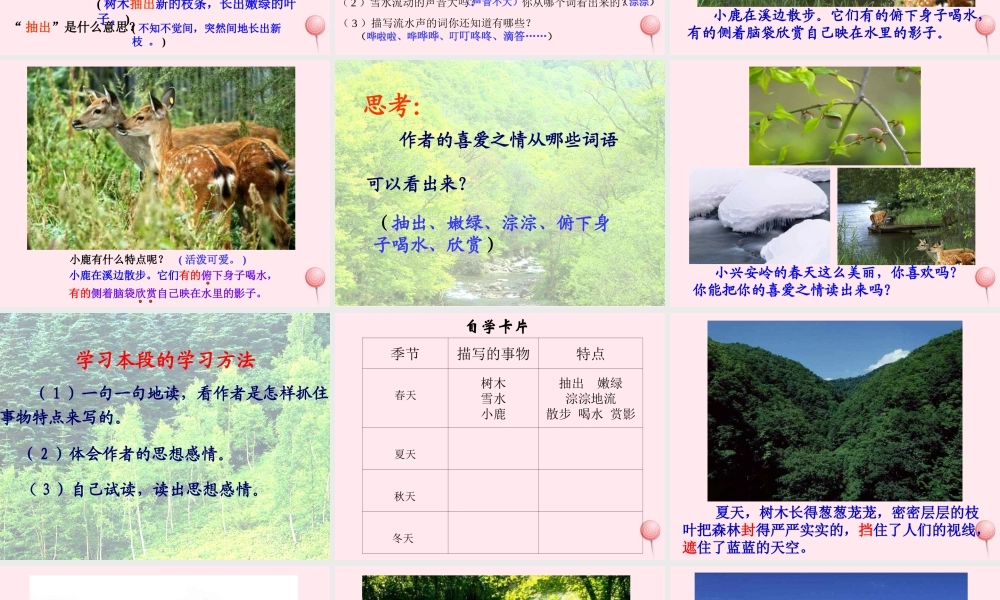 三年级语文上册 第六组 23《美丽的小兴安岭》课堂教学课件3 新人教版-新人教版小学三年级上册语文课件