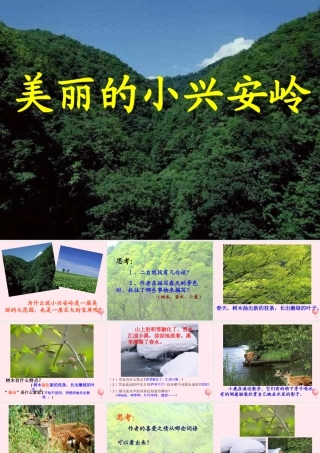 三年级语文上册 第六组 23《美丽的小兴安岭》课堂教学课件3 新人教版-新人教版小学三年级上册语文课件