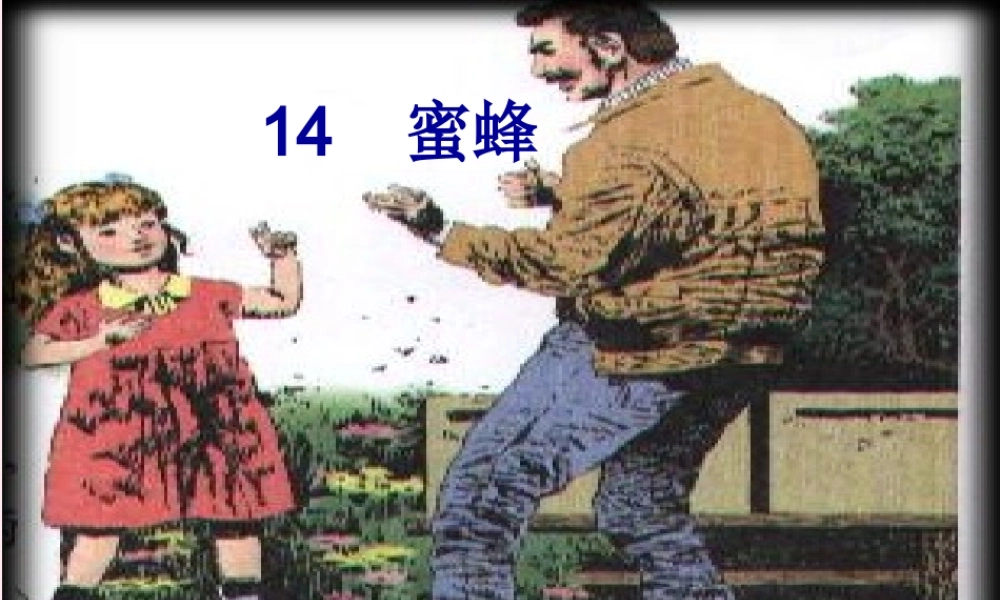 三年级语文上册 第四组 14《蜜蜂》课堂教学课件2 新人教版-新人教版小学三年级上册语文课件