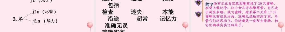 三年级语文上册 第四组 14《蜜蜂》课堂教学课件2 新人教版-新人教版小学三年级上册语文课件
