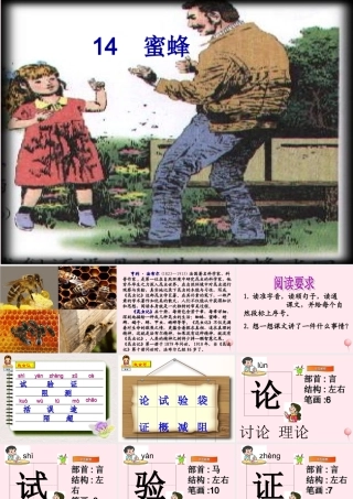 三年级语文上册 第四组 14《蜜蜂》课堂教学课件2 新人教版-新人教版小学三年级上册语文课件
