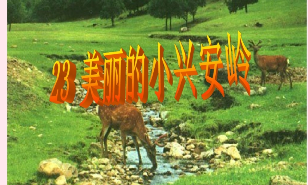 三年级语文上册 第六组 23《美丽的小兴安岭》课堂教学课件4 新人教版-新人教版小学三年级上册语文课件