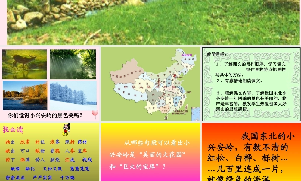 三年级语文上册 第六组 23《美丽的小兴安岭》课堂教学课件4 新人教版-新人教版小学三年级上册语文课件