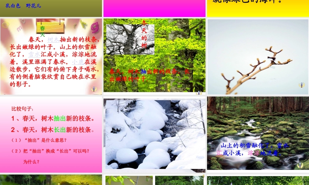 三年级语文上册 第六组 23《美丽的小兴安岭》课堂教学课件4 新人教版-新人教版小学三年级上册语文课件