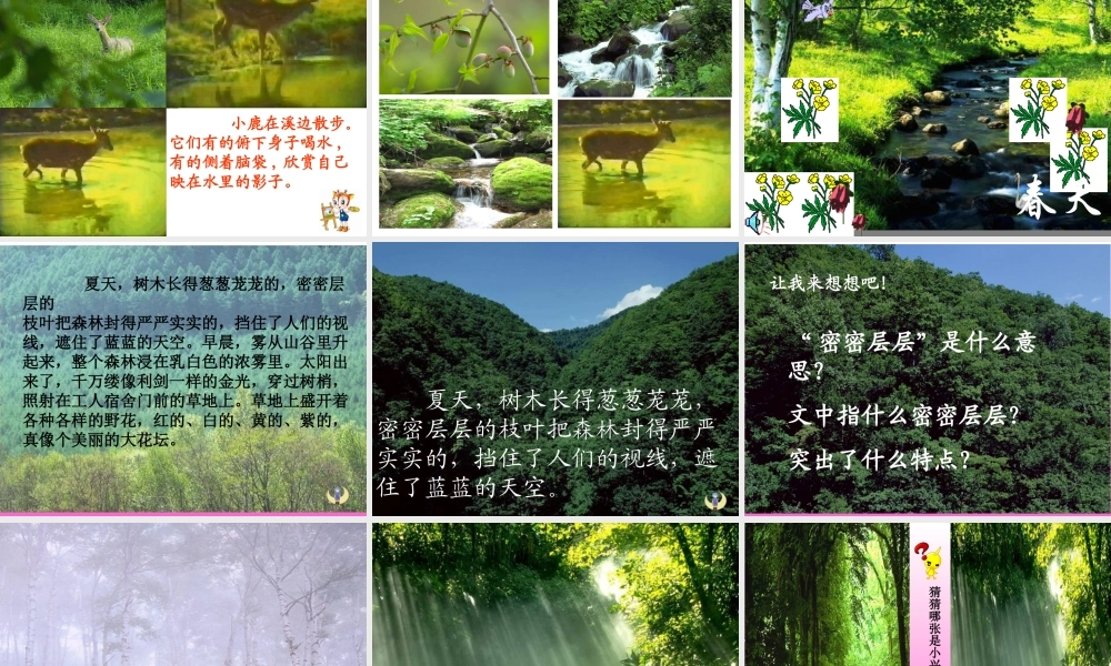 三年级语文上册 第六组 23《美丽的小兴安岭》课堂教学课件4 新人教版-新人教版小学三年级上册语文课件