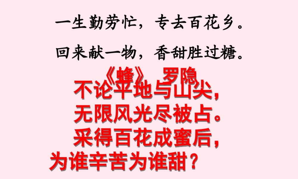 三年级语文上册 第四组 14《蜜蜂》课堂教学课件3 新人教版-新人教版小学三年级上册语文课件