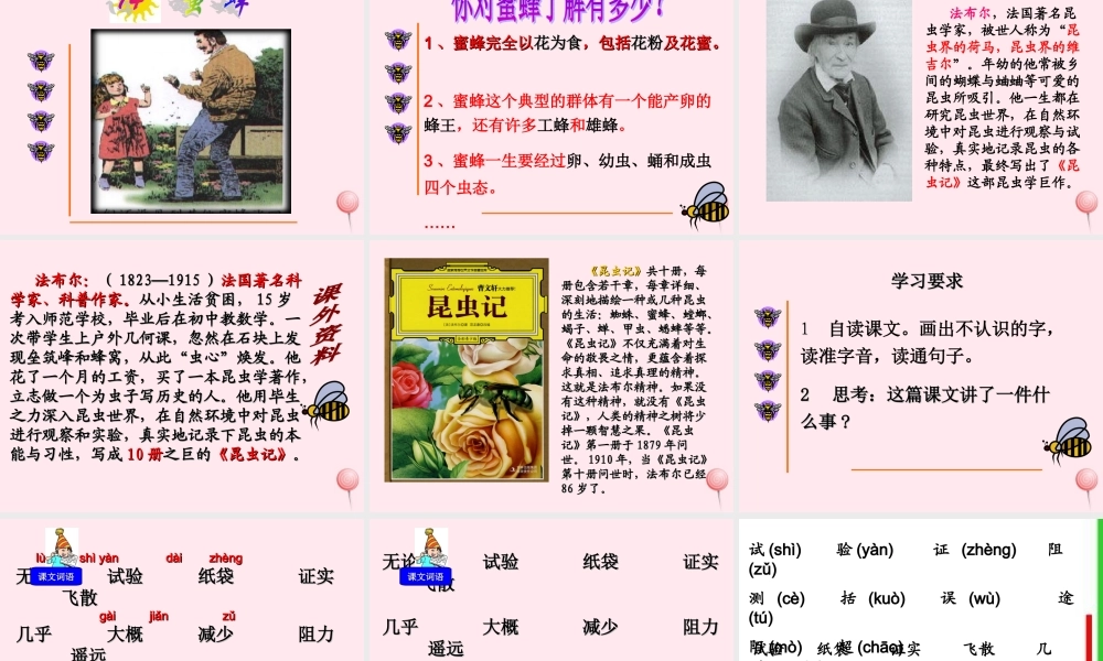 三年级语文上册 第四组 14《蜜蜂》课堂教学课件3 新人教版-新人教版小学三年级上册语文课件