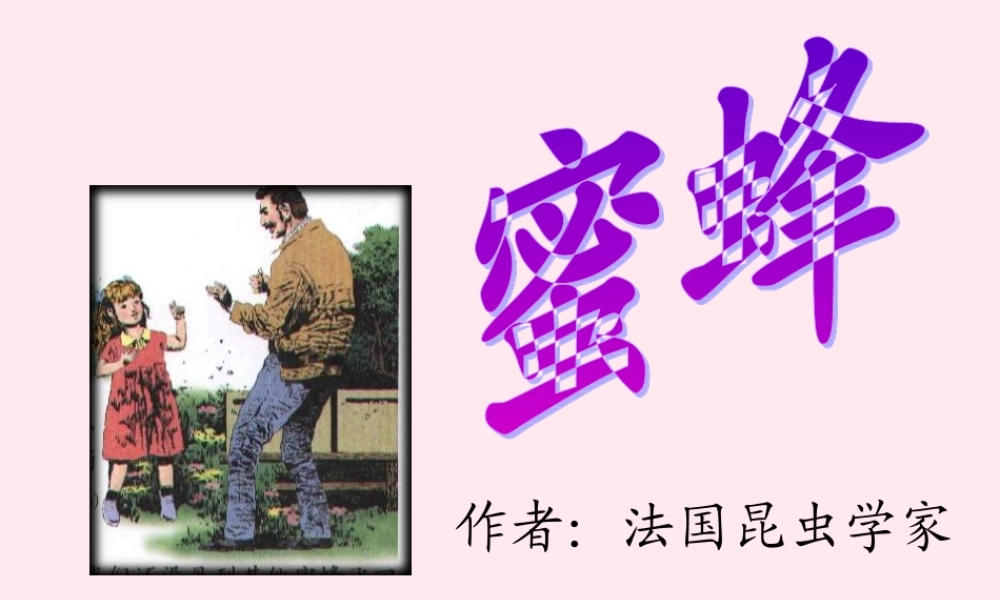 三年级语文上册 第四组 14《蜜蜂》课堂教学课件4 新人教版-新人教版小学三年级上册语文课件