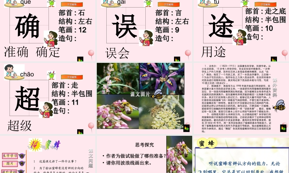三年级语文上册 第四组 14《蜜蜂》课堂教学课件4 新人教版-新人教版小学三年级上册语文课件