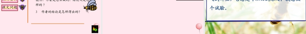 三年级语文上册 第四组 14《蜜蜂》课堂教学课件4 新人教版-新人教版小学三年级上册语文课件