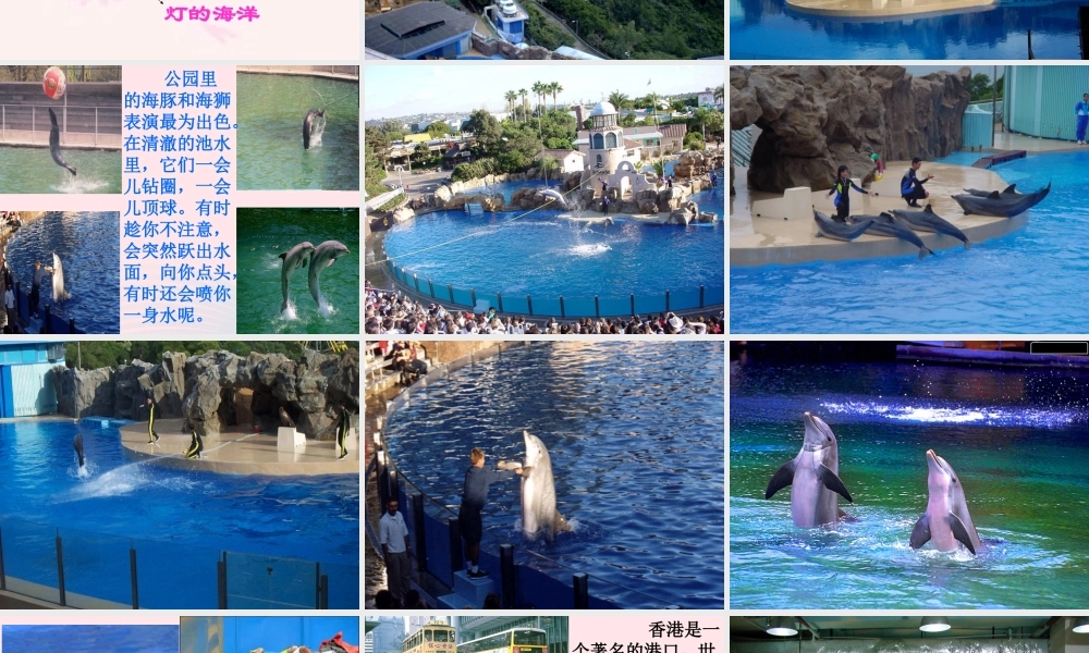 三年级语文上册 第六组 24《香港 璀璨的明珠》课堂教学课件2 新人教版-新人教版小学三年级上册语文课件