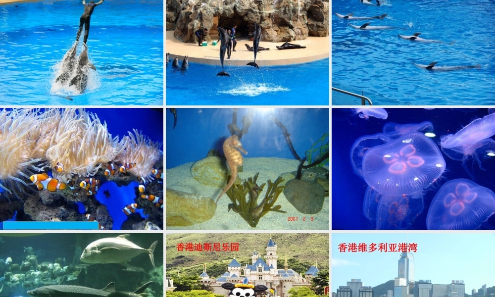 三年级语文上册 第六组 24《香港 璀璨的明珠》课堂教学课件3 新人教版-新人教版小学三年级上册语文课件