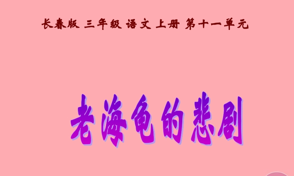 三年级语文上册 第十一单元 老海龟的悲剧课件2 长春版-长春版小学三年级上册语文课件