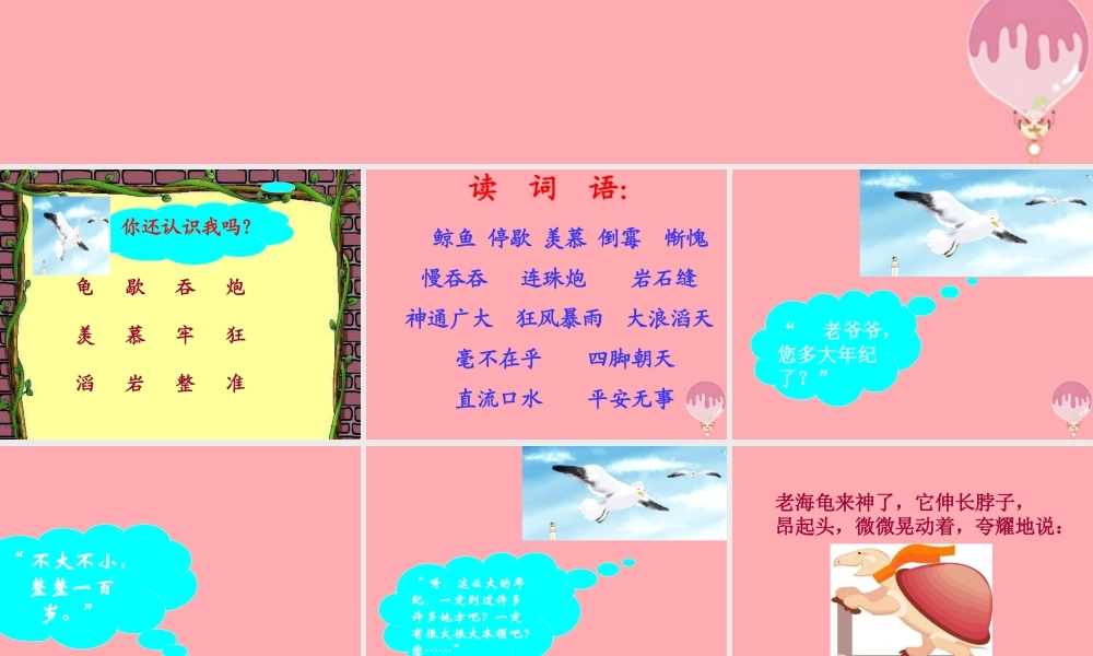 三年级语文上册 第十一单元 老海龟的悲剧课件2 长春版-长春版小学三年级上册语文课件