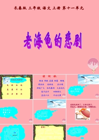 三年级语文上册 第十一单元 老海龟的悲剧课件2 长春版-长春版小学三年级上册语文课件