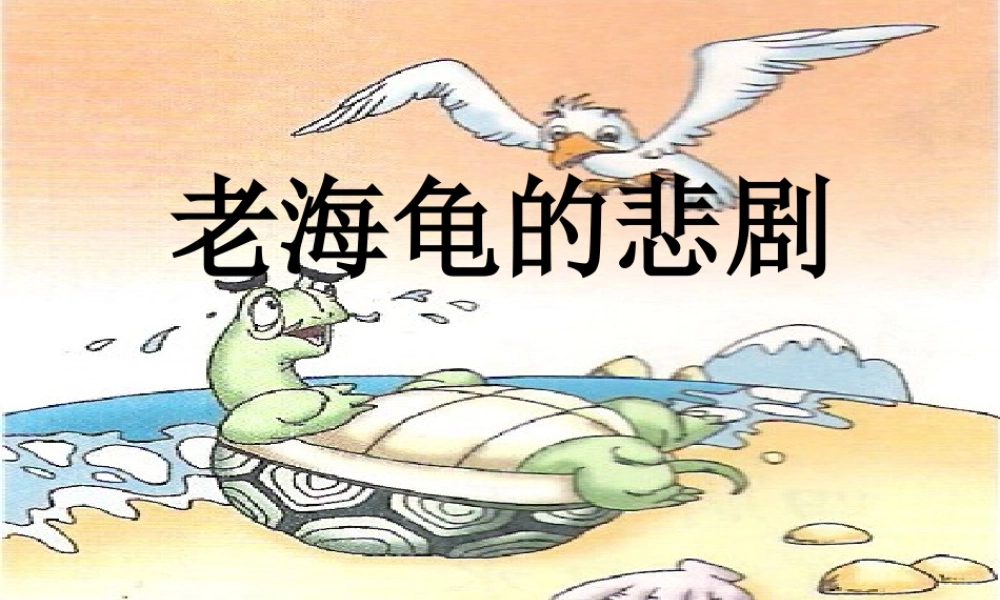 三年级语文上册 第十一单元 老海龟的悲剧课件3 长春版-长春版小学三年级上册语文课件