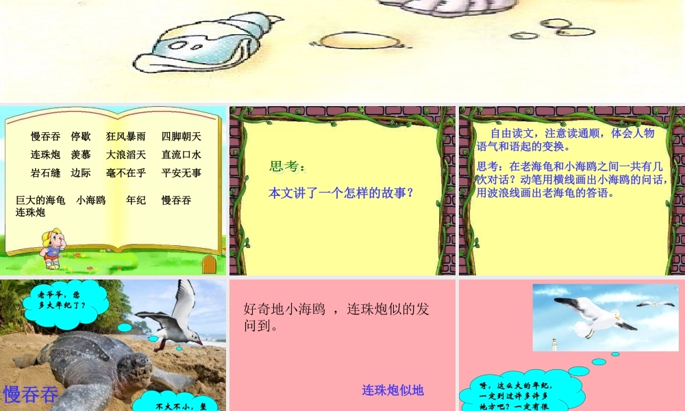 三年级语文上册 第十一单元 老海龟的悲剧课件3 长春版-长春版小学三年级上册语文课件