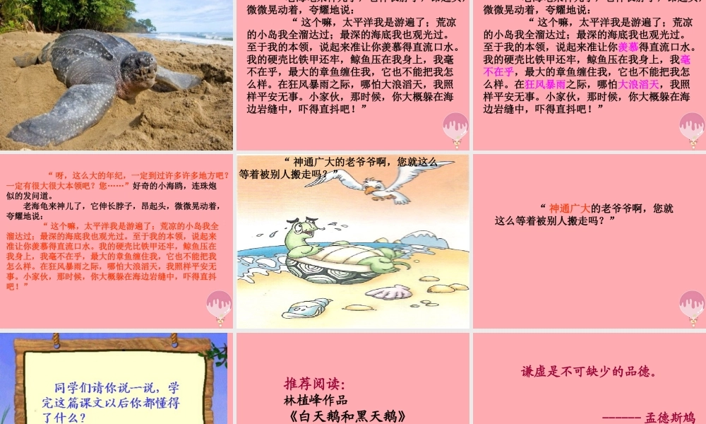 三年级语文上册 第十一单元 老海龟的悲剧课件3 长春版-长春版小学三年级上册语文课件