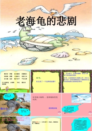 三年级语文上册 第十一单元 老海龟的悲剧课件3 长春版-长春版小学三年级上册语文课件