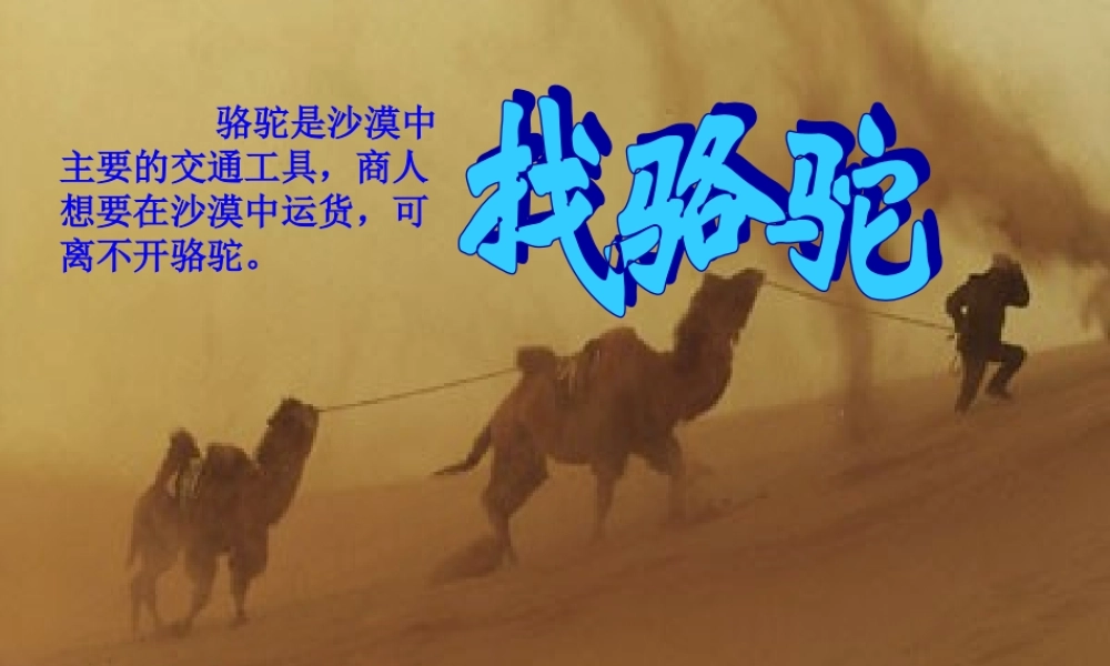 三年级语文上册 第四组 16 找骆驼课件 新人教版