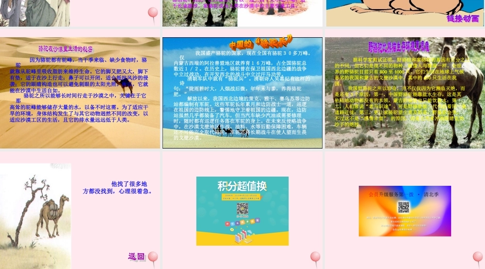 三年级语文上册 第四组 16 找骆驼课件 新人教版