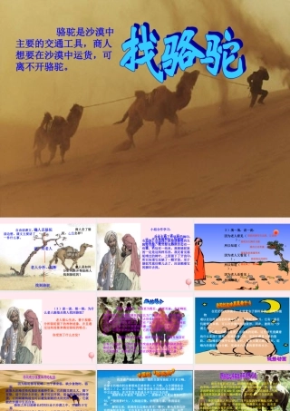 三年级语文上册 第四组 16 找骆驼课件 新人教版