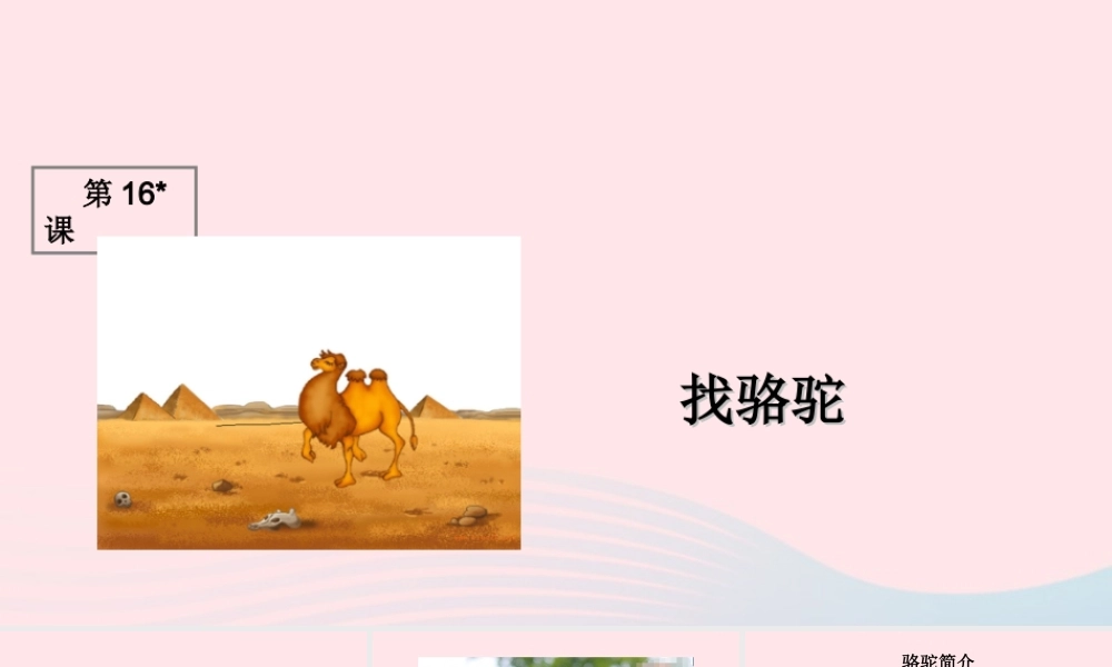 三年级语文上册 第四组 16《找骆驼》课堂教学课件1 新人教版-新人教版小学三年级上册语文课件
