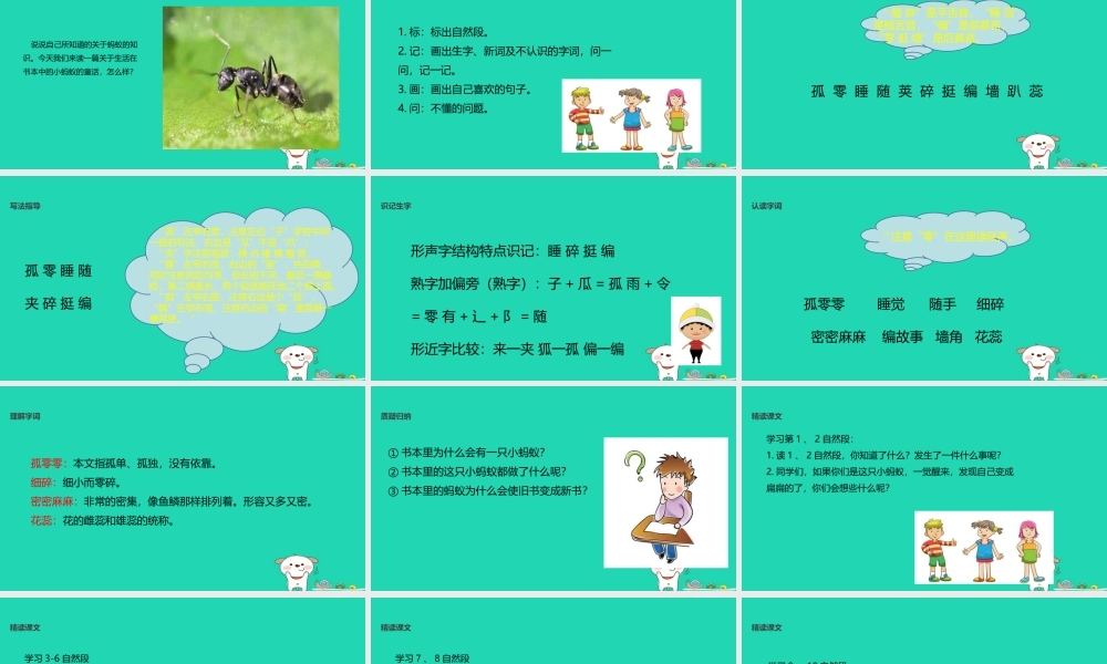 三年级语文上册 第二单元 6 书本里的蚂蚁教学课件 鄂教版-鄂教版小学三年级上册语文课件