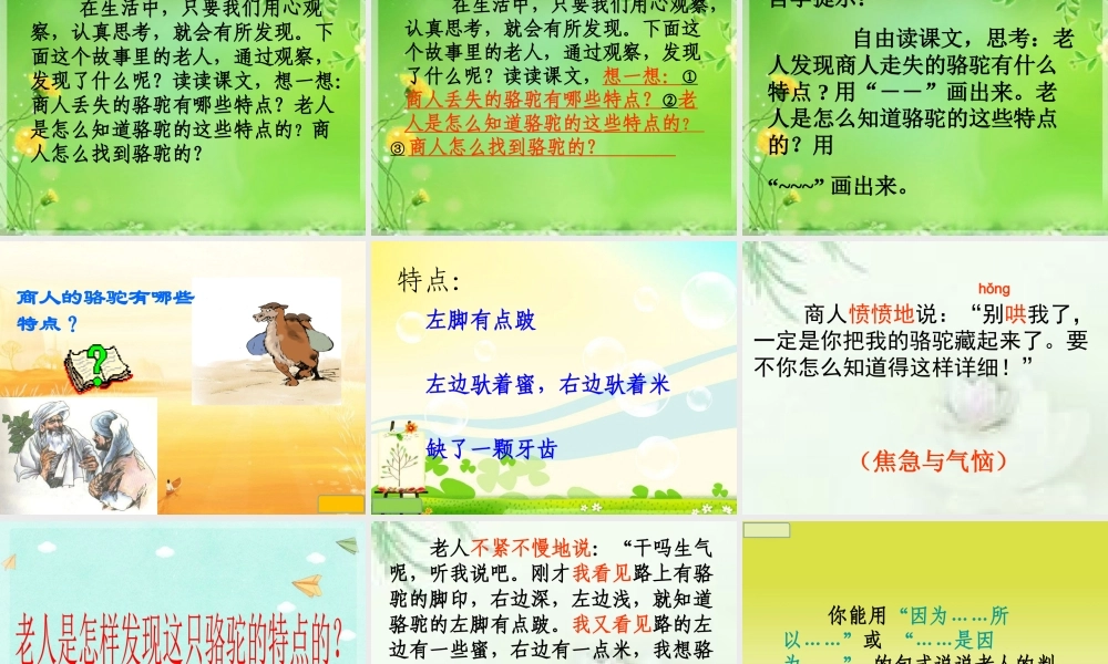 三年级语文上册 第四组 16《找骆驼》课堂教学课件2 新人教版-新人教版小学三年级上册语文课件