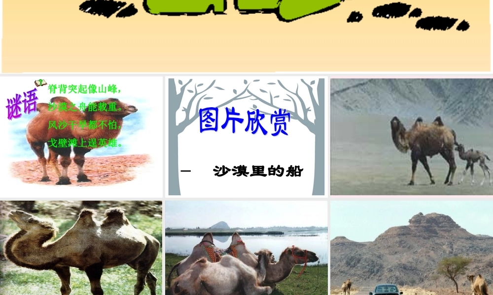 三年级语文上册 第四组 16《找骆驼》课堂教学课件3 新人教版-新人教版小学三年级上册语文课件