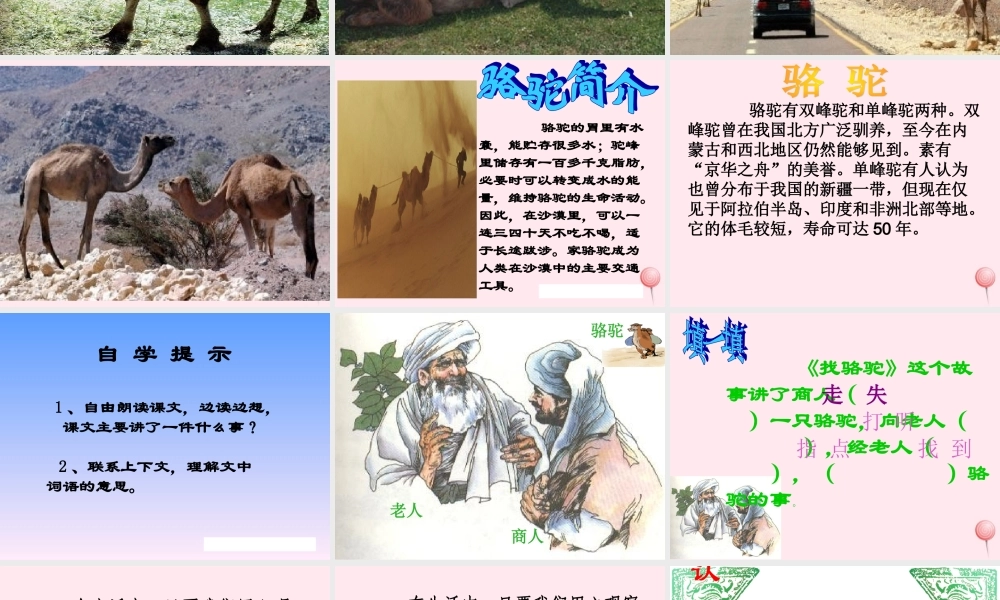 三年级语文上册 第四组 16《找骆驼》课堂教学课件3 新人教版-新人教版小学三年级上册语文课件