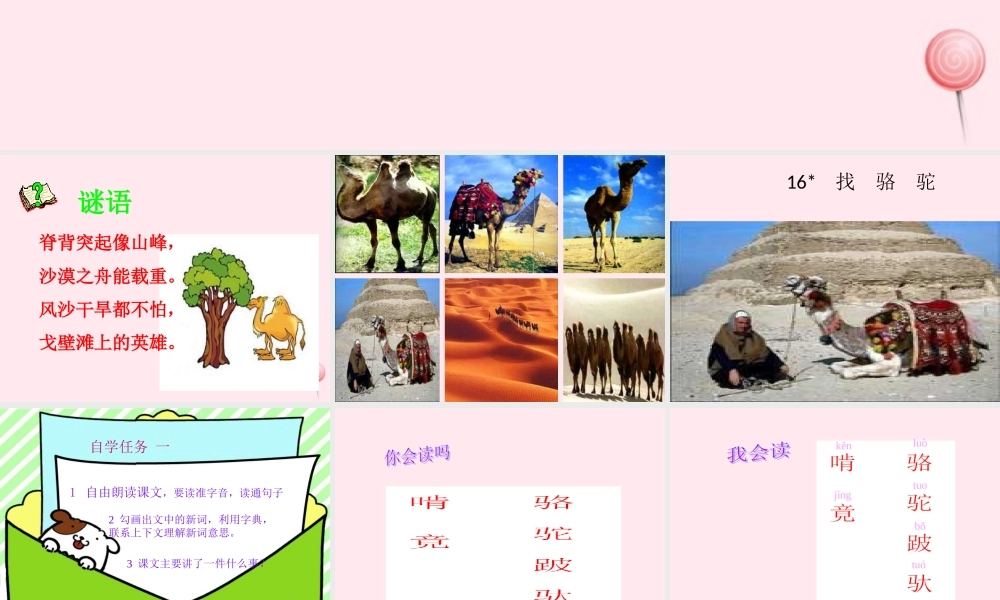 三年级语文上册 第四组 16《找骆驼》课堂教学课件4 新人教版-新人教版小学三年级上册语文课件