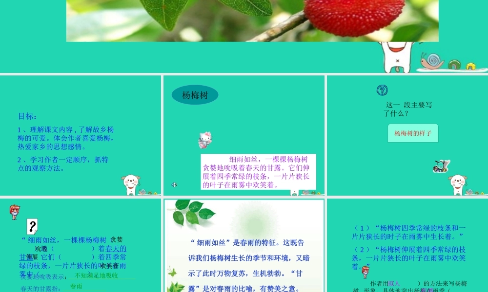 三年级语文上册 第六单元 16 我爱故乡的杨梅课件 鄂教版