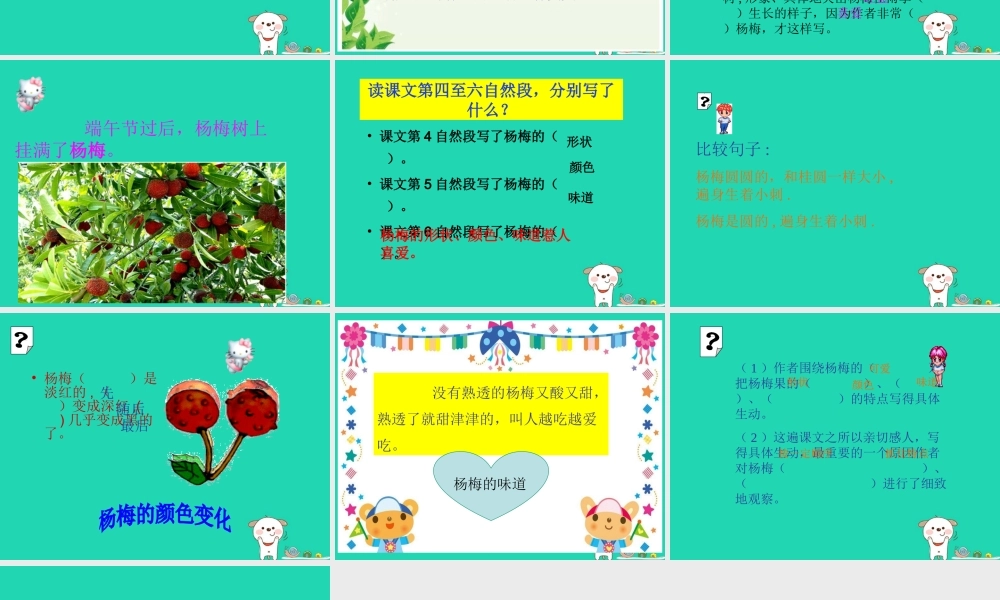 三年级语文上册 第六单元 16 我爱故乡的杨梅课件 鄂教版